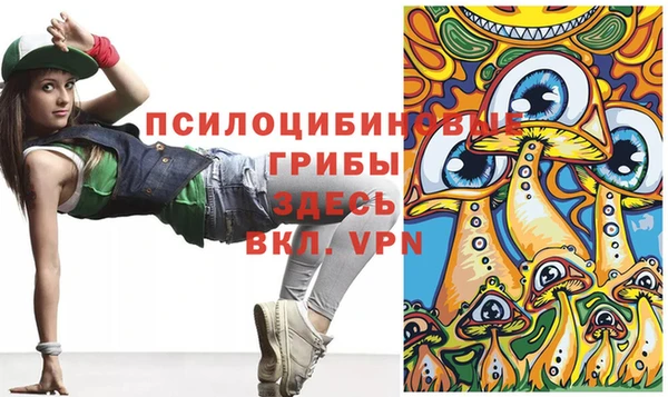 mix Гусев
