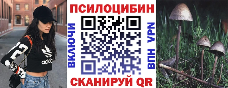 Псилоцибиновые грибы ЛСД  Купить закладки  Батайск 